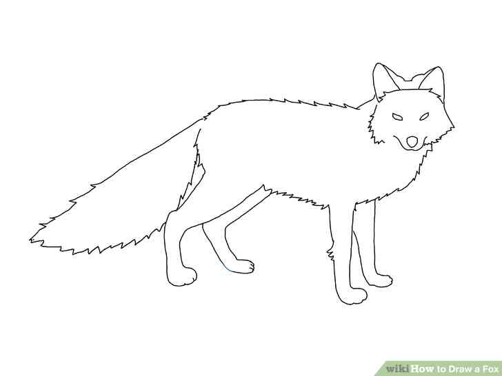 Image intitulée Dessiner un Renard à l